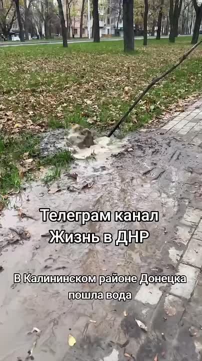 ������� � ����������� ������: ����� ����