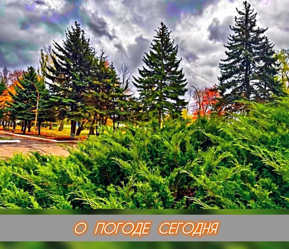 Александр Шатов: 11 ноября в Республике облачно с прояснениями