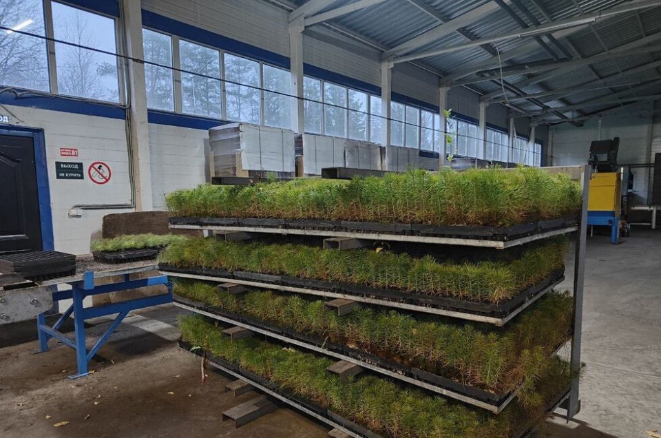 ���������� ��������� � ��� 740 ����� ������� �����