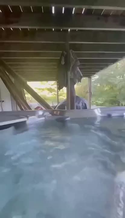 ���� ����, ��� �� ���� ������ ������� ������ ���