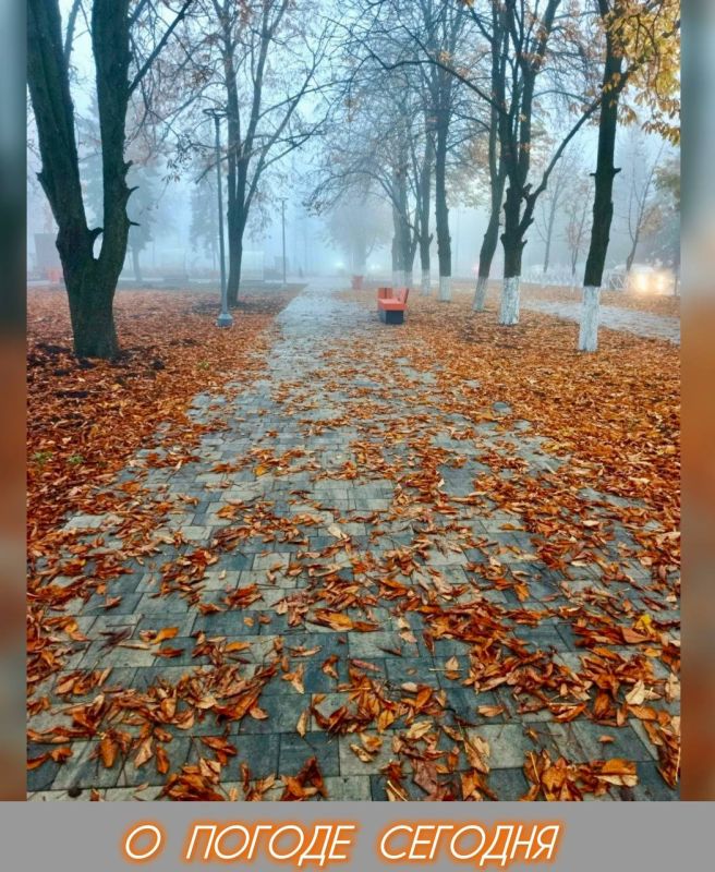 Александр Шатов: 12 ноября в Республике облачно с прояснениями, местами дожди