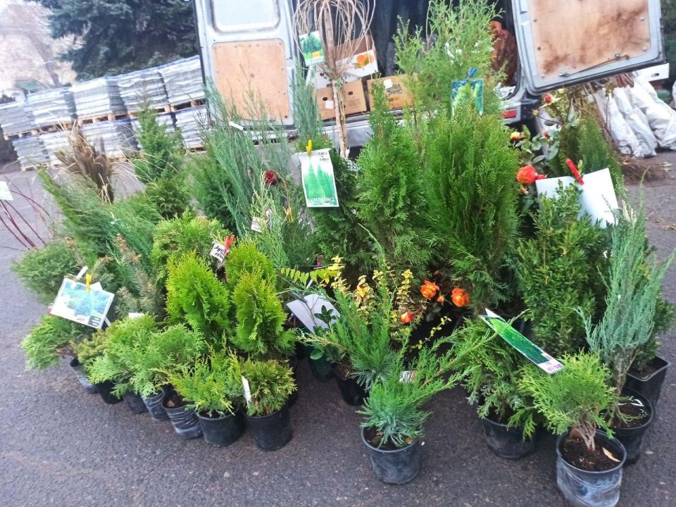 В Докучаевске на центральной площади прошла ярмарка