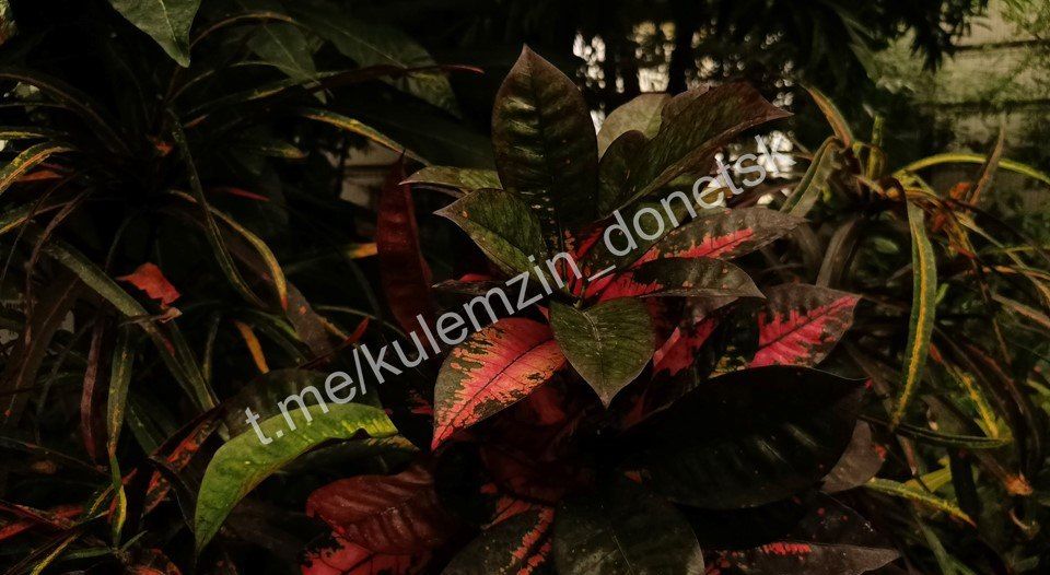 ������� ��������: �������� ������������ ��� - ������� ������ ������ ������