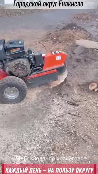 ������� ���� � �� ������ ������