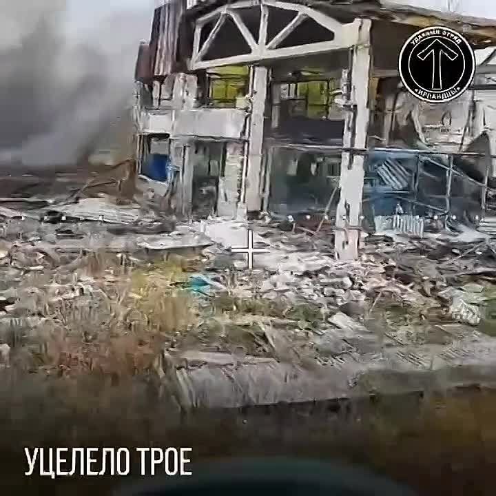 ���������� ������� ��������� ����� ������� ��� ������������� �������� (�������������) � ���������