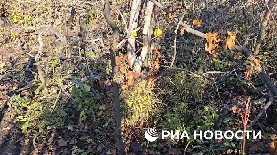 Бойцы подразделения разведки группировки "Южная" 3-й общевойсковой армии провели успешную операцию по уничтожению позиции ВСУ в тылу под Северском в ДНР