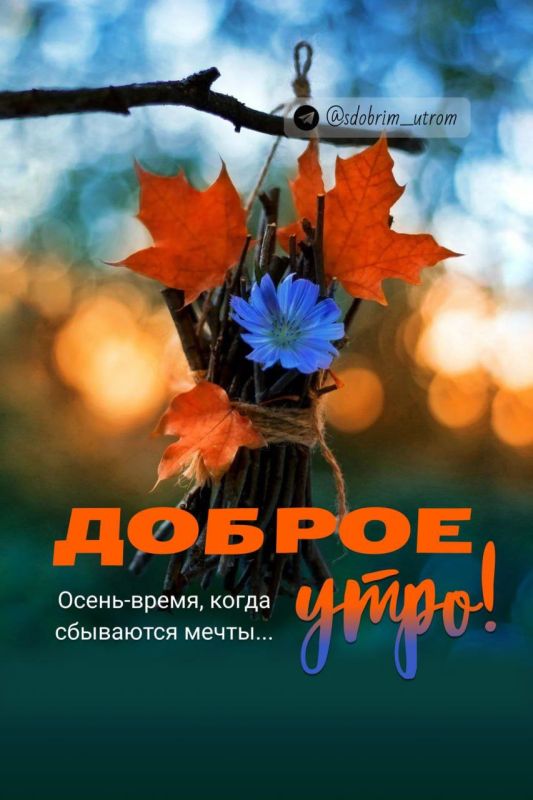 #доброе_утро