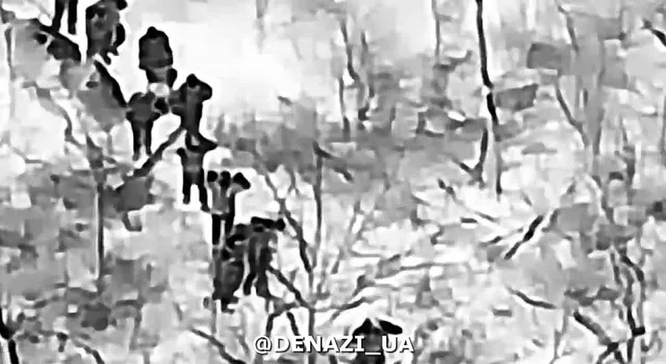 25 ������������ ������� � ���������� ��������� ���������! � ����� ������ ����� � ��������� ������ �������� �� 38-� ��������� ������� ������� ������