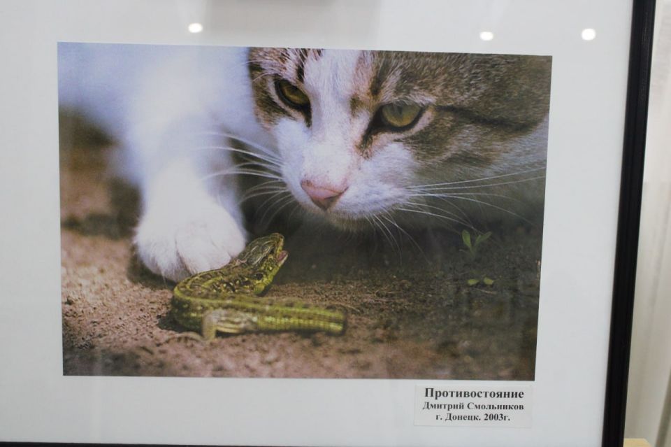 «Видел мир душой». В краеведческом музее действует фотовыставка участника СВО Дмитрия Смольникова, освобождавшего Мариуполь и погибшего под Авдеевкой