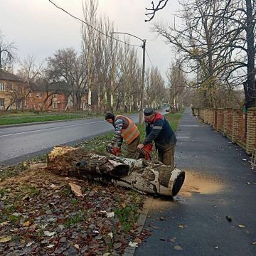 Михаил Меренков: Акция «Чистый четверг» в Буденновском районе