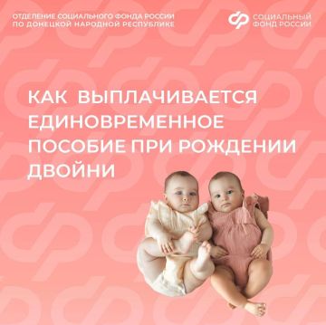 Как в ДНР выплачивают единовременное пособие, если родилась двойня