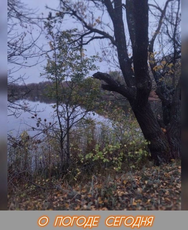 Александр Шатов: 13 ноября в Республике облачно с прояснениями, местами дожди