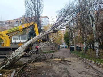  :               9  . 