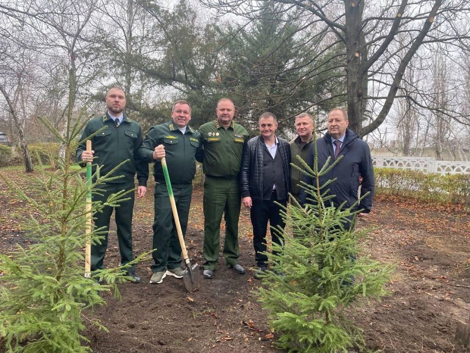 Сеянцы сосны из Ленобласти доставлены в ДНР для восстановления лесных массивов