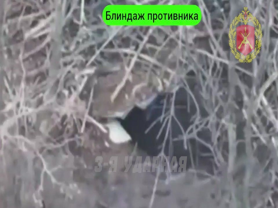 Артиллеристы армии России снайперским огнем сносят позиции ВСУ в посадках