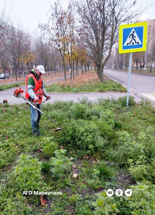 Мариупольские коммунальщики ведут сезонный покос травы