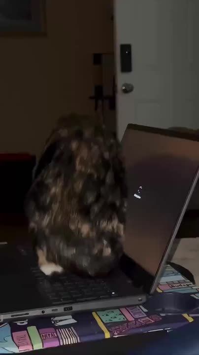�� ������� ������ ����������