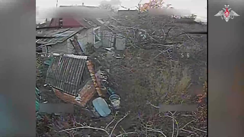  :     5-      ..  51-          ...