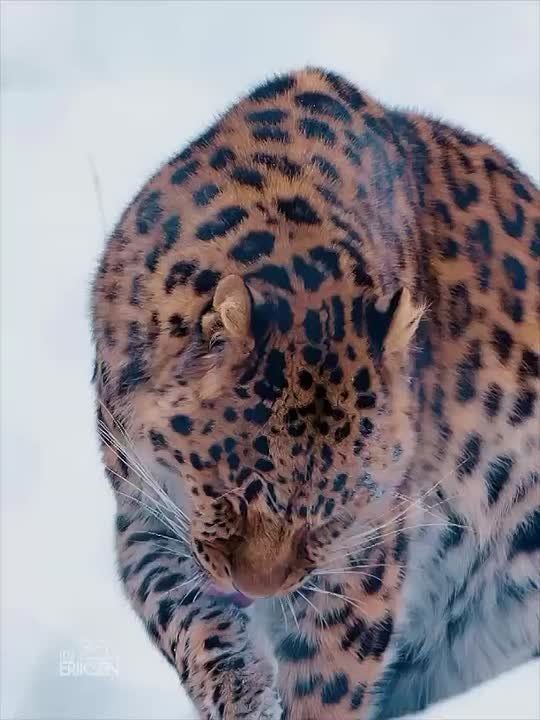 Спокойной ночи, Мариуполь!