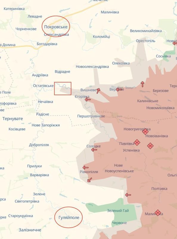  :              ,   ,    