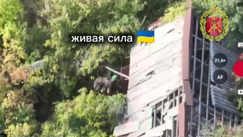 На Северском участке фронта продолжаются ожесточённые бои в районе Дроновки