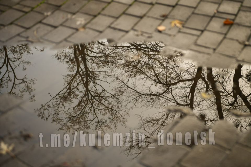 ������� ��������: ������� ������ ������