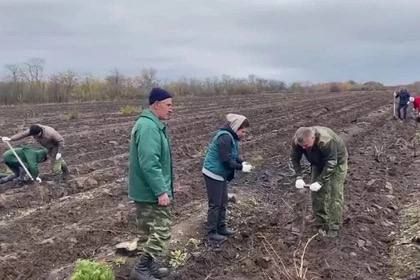 � ��� ����������� ���������� ������������� ����� ���������� �����