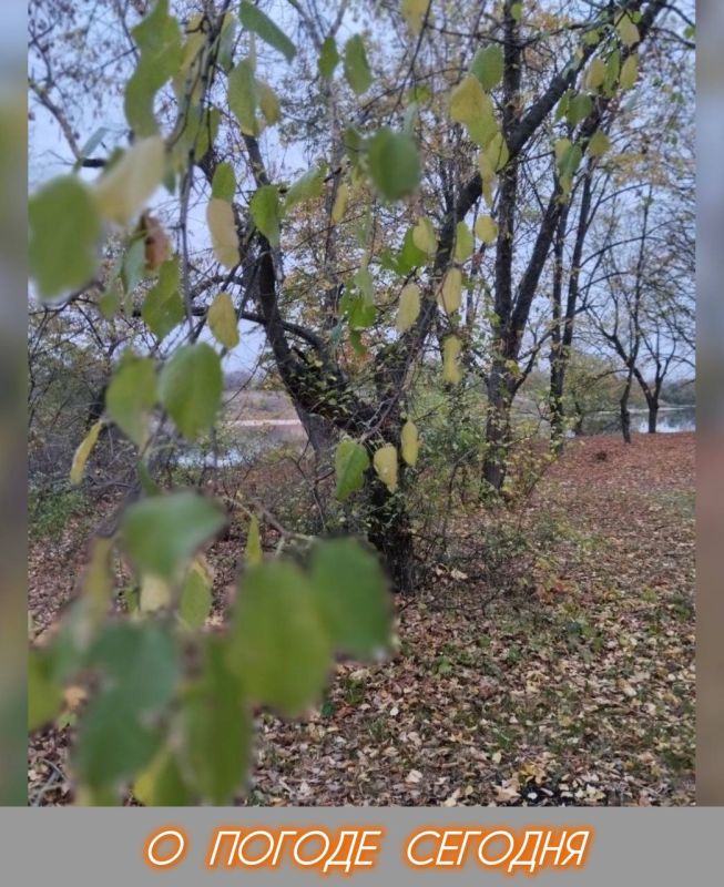 15 ноября в Республике облачно с прояснениями, без существенных осадков