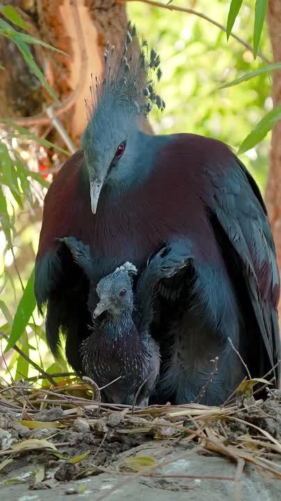 Спокойной ночи, Мариуполь!