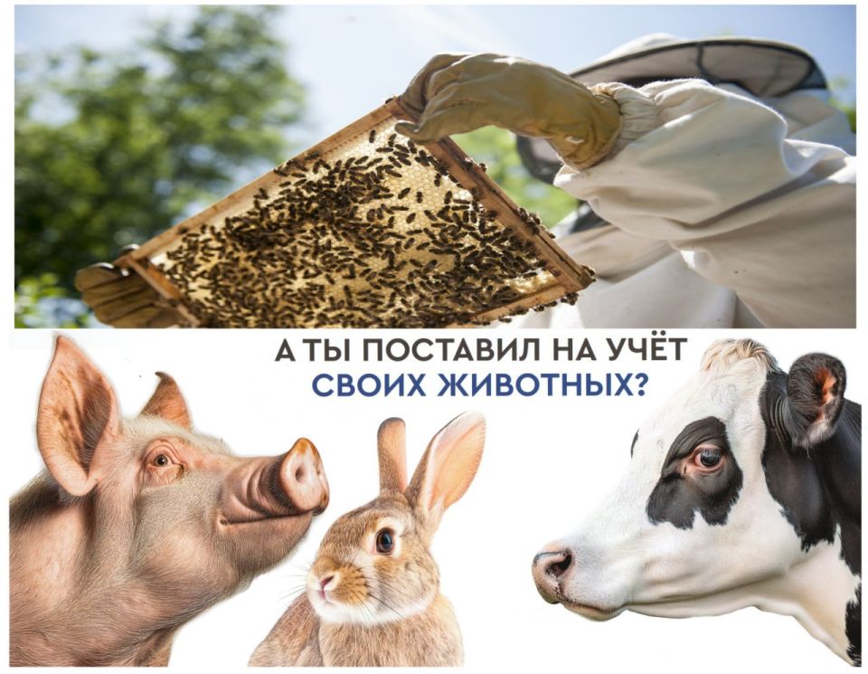 ������� ����������: ������������ � ���� �������������������� �������� ����� �������������!