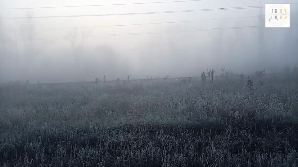 �����, ���������, ��������� �����������: � ������� ����������, �� ���������