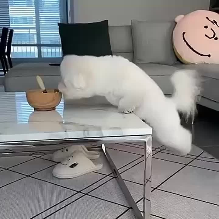 ������� ����� ��������� � ��������