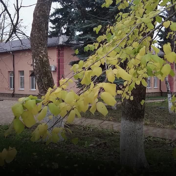 Игорь Лызов: Губернатор Амурской области Василий Орлов осмотрел отремонтированный реабилитационный центр г. Амвросиевка