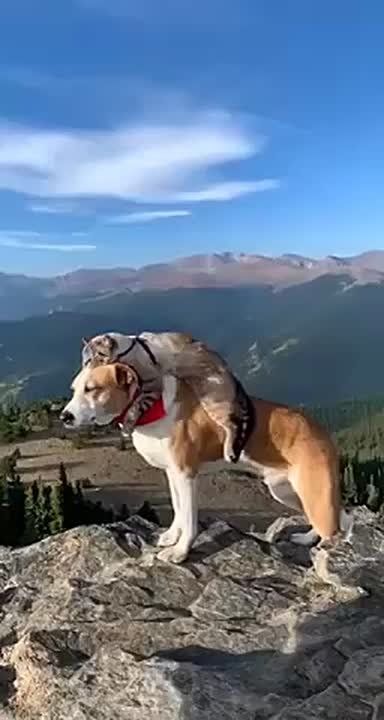 ����� ���� �� ����� ���, � ��� �������