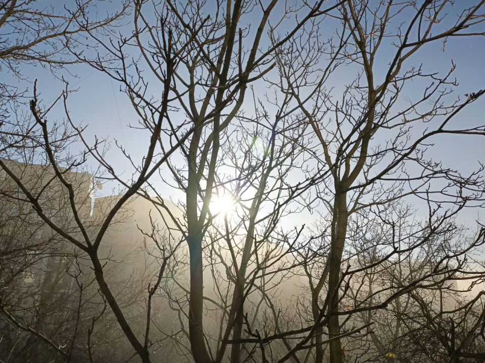 16 ������ � ���������� ���������� ����������, ��� ������������ �������