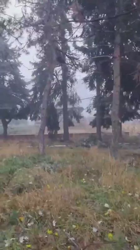 ������������� �� �� ������������ � ������ ���������