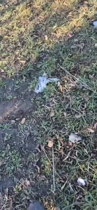 ������������ ����� � ����������� �����������