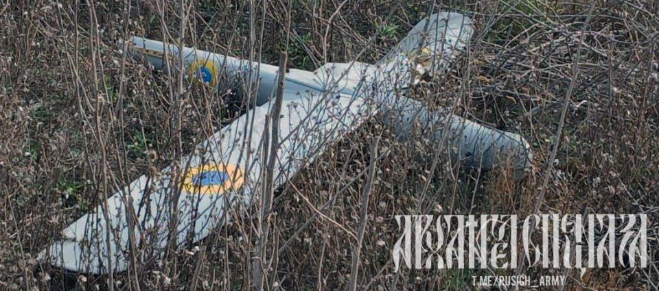 Дрон с камерой за 230 тысяч