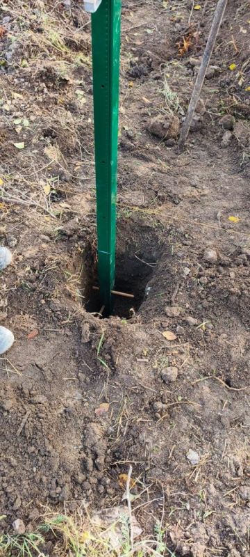 ����� �����: ��� ��������� ������������� ������� ����������� ������ ��������������� �������� ������� � �������