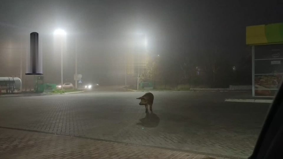 ����� � ������ ����� �� ������ �������� ��������� �������