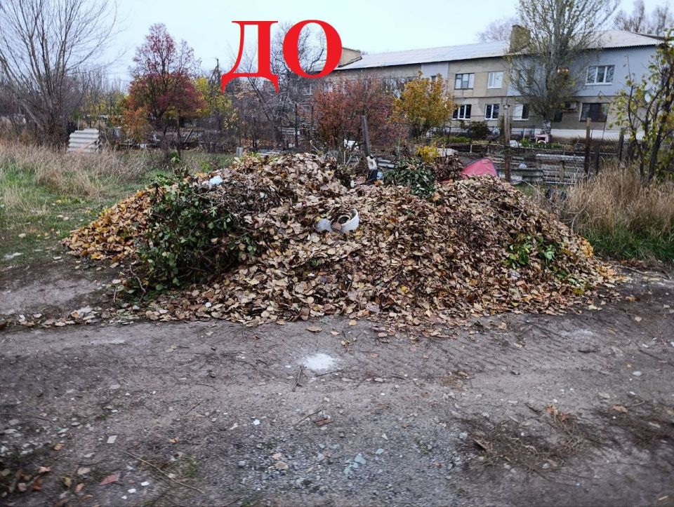 ������� ��������: � �������������� ������ ������������ ������ �� ���������� ������������������� ������