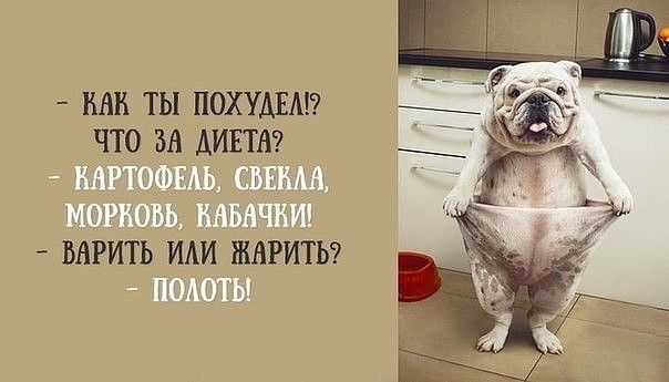 ������� �����. �� � Telegram
