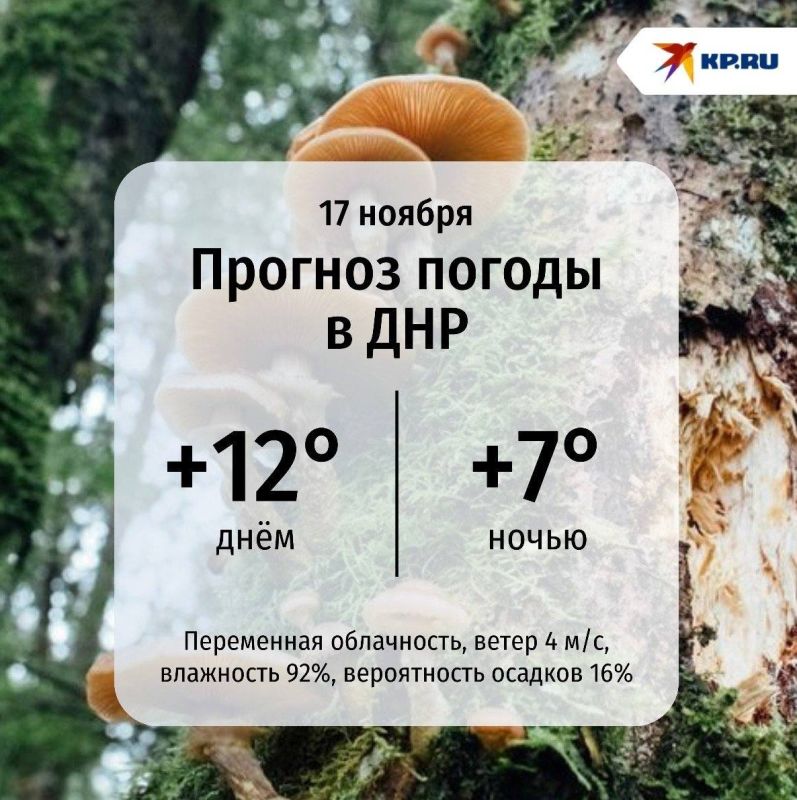 � ��� ������� ����������� ������� ���� ���������� �� +12 ��������, � ����� ��������� �� +7�