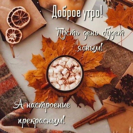 ������ ����!. ����������� ���� �������������
