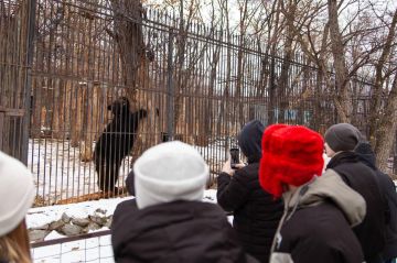 Для молодежи из Дебальцево провели экскурсию в хабаровском зоосаде «Приамурский»