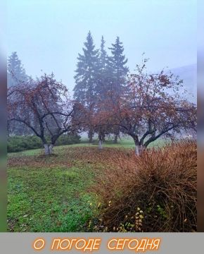 Александр Шатов: 18 ноября в Республике переменная облачность, без осадков