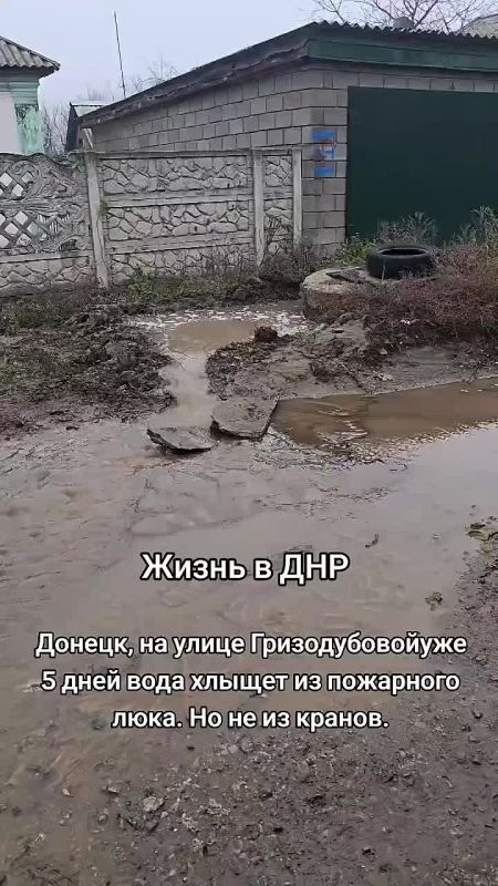 �������� ����: ������� �������� �� ����������� �����