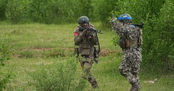Боевики ВСУ остались без связи с командирами и были выбиты из донецкого Рога