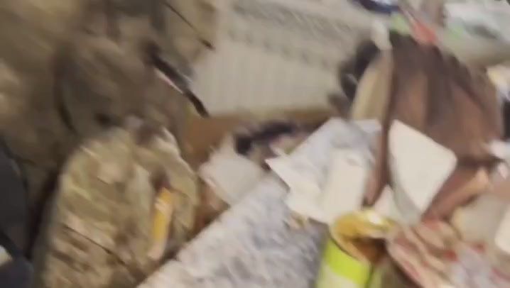 ������� ��������: ��������.. ��� ������������� � ���������, ����� ����������� ������������. ���������� �������������