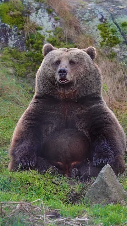 С добрым утром, Мариуполь!